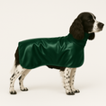 Last inn bildet i Gallery Viewer, Silkedekken grønt for blank og glatt pels - WePet.no