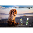 Last inn bildet i Gallery Viewer, B&B Pleiepakke for Hunder med Stresset, Tørr Hud og Pels
