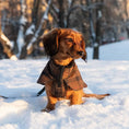Last inn bildet i Gallery Viewer, WePet.no hundedekken med Tartan-mønster og refleks for dachs – Denjo Dogs