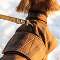 Last inn bildet i Gallery Viewer, Hundedekken Dachs Tartan Grace med varmende stoff og refleks, WePet.no – Denjo Dogs