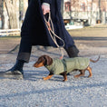 Last inn bildet i Gallery Viewer, WePet.no: Dachs Wool Puffer hundedekken i Olive for ekstra varme – Denjo Dogs