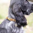 Last inn bildet i Gallery Viewer, WePet.no Hundehalsbånd Signature Go Sennepsgul – Denjo Dogs