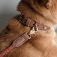 Last inn bildet i Gallery Viewer, WePet.no Hundehalsbånd Torekov Rusty Bronze - Denjo Dogs