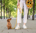 Last inn bildet i Gallery Viewer, WePet.no Hundehalsbånd Torekov Sunflower Yellow - Denjo Dogs