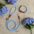 Last inn bildet i Gallery Viewer, WePet.no Hundekobbel Torekov Hortensia Blue - Denjo Dogs
