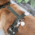 Last inn bildet i Gallery Viewer, WePet.no Hundesele Signature Go Khakigrønn – Denjo Dogs