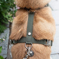 Last inn bildet i Gallery Viewer, WePet.no Hundesele Signature Go Khakigrønn – Denjo Dogs