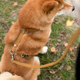Last inn bildet i Gallery Viewer, WePet.no Hundesele Signature Go Sennepsgul – Denjo Dogs