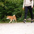 Last inn bildet i Gallery Viewer, WePet.no Hundesele Signature Go Sennepsgul – Denjo Dogs