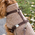Last inn bildet i Gallery Viewer, WePet.no Hundesele Signature Go Sjokolade – Denjo Dogs