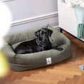 Last inn bildet i Gallery Viewer, WePet.no Hundeseng Classic Nest Desert Green – Denjo Dogs