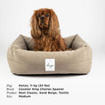 Last inn bildet i Gallery Viewer, WePet.no Hundeseng Classic Nest Sand Beige – Denjo Dogs