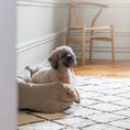 Last inn bildet i Gallery Viewer, WePet.no Hundeseng Classic Nest Sand Beige – Denjo Dogs