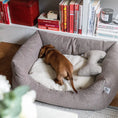 Last inn bildet i Gallery Viewer, WePet.no Hundeseng Teddy Lounge True Taupe – Denjo Dogs