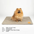 Last inn bildet i Gallery Viewer, WePet.no Reisepledd Snuggle Greige med lærdetalj– Denjo Dogs