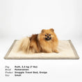 Last inn bildet i Gallery Viewer, WePet.no Reisepledd Snuggle Greige med lærdetalj– Denjo Dogs