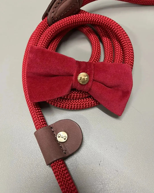 Hundehalsbånd Torekov Imperial Red – Denjo Dogs WePet.no