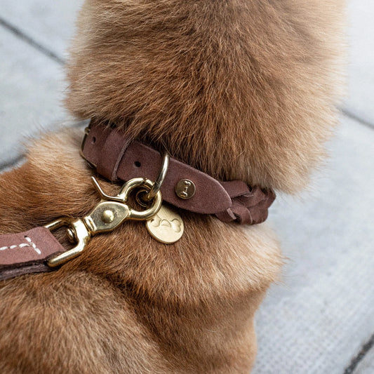 Bli forhandler av Denjo Dogs, Glufs og MasterPet