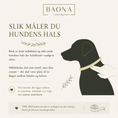 Last inn bildet i Gallery Viewer, Slik måler du hundens hals for å velge riktig størrelse på Baona hundehalsbånd
