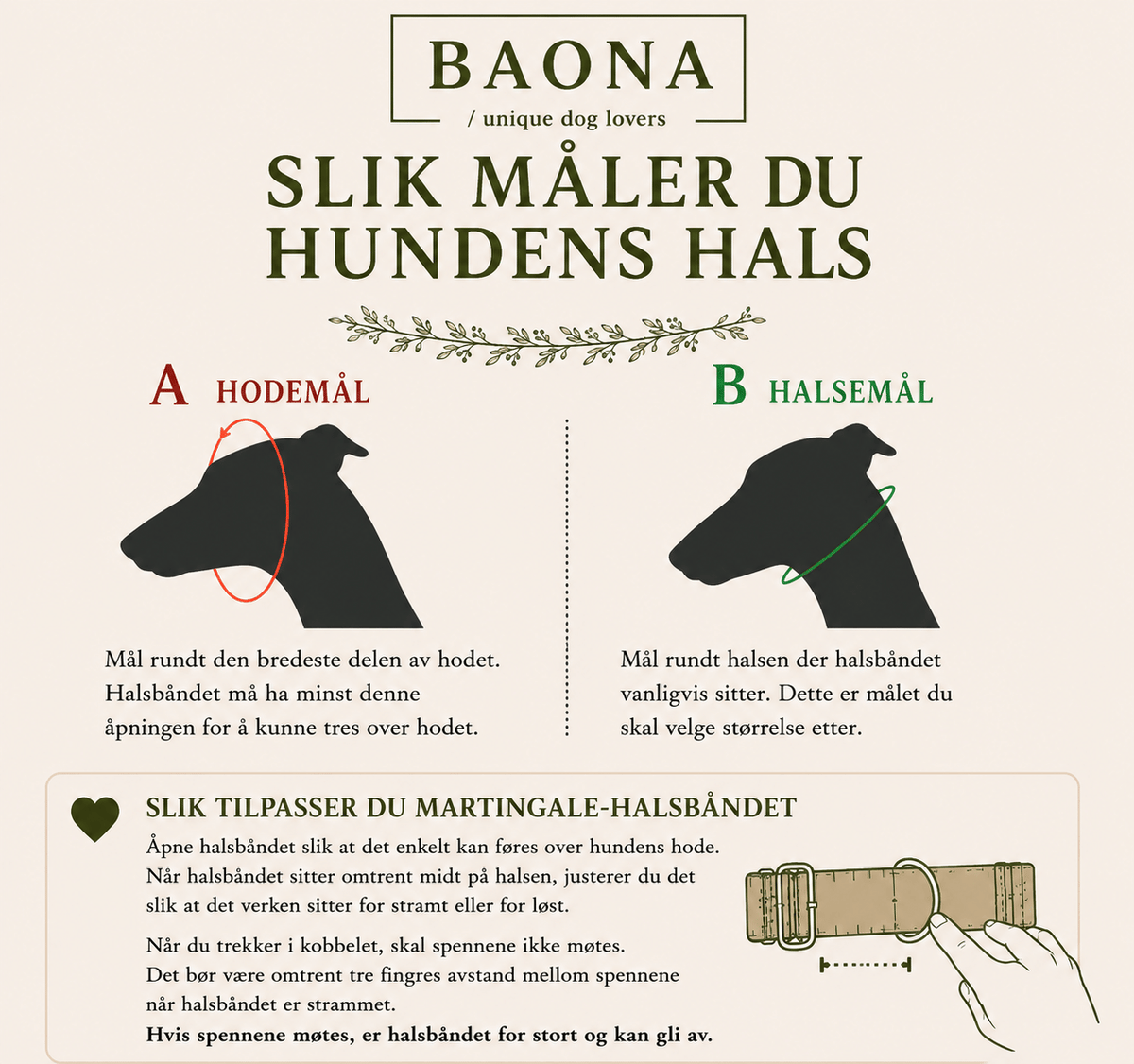 Måle- og tilpasningsguide for Baona Dogs Martingale hundehalsbånd med hodemål, halsmål og riktig avstand mellom spennene