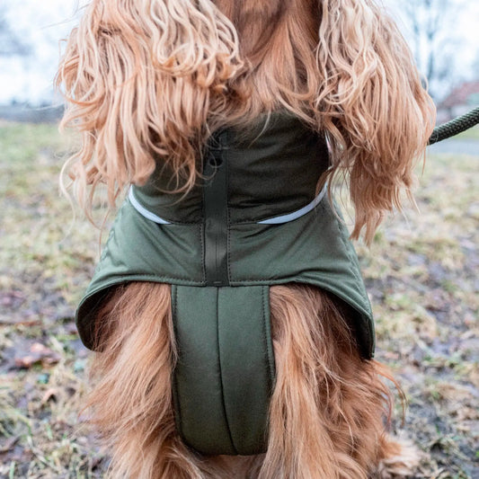 Hundedekken Wool Puffer Olive – Denjo Dogs WePet.no