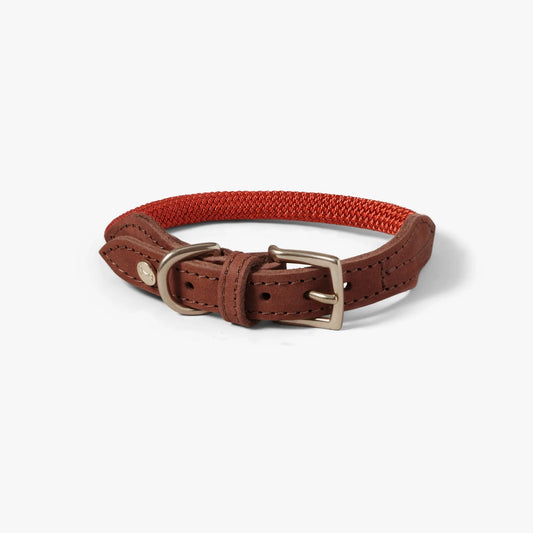 Hundehalsbånd Torekov Imperial Red – Denjo Dogs WePet.no
