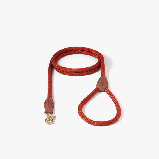 HundeKobbel Torekov Imperial Red - Denjo Dogs WePet.no
