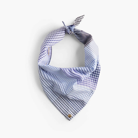 WePet.no Denjo Dogs - Upcycled Hundeskjerf med Guldfarget Nit – Denjo x Eton