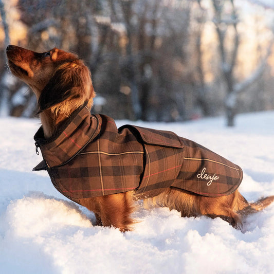 WePet.no: Hundedekken Dachs Tartan Grace med reflekterende detaljer – Denjo Dogs