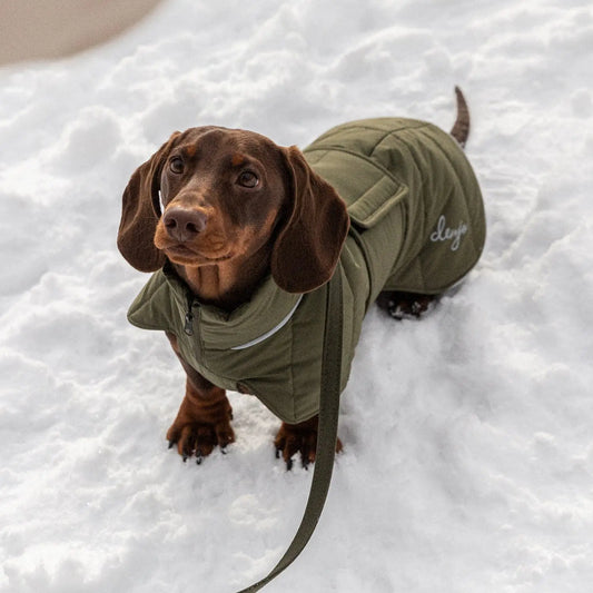 WePet.no: Hundedekken Dachs Wool Puffer i Olive – Varmende dekken fra Denjo Dogs