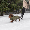 Last inn bildet i Gallery Viewer, WePet.no hundedekken i ull med puffer-design for dachs i Olive – Denjo Dogs
