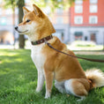 Last inn bildet i Gallery Viewer, WePet.no Hundehalsbånd Signature Go Chocolate – Denjo Dogs
