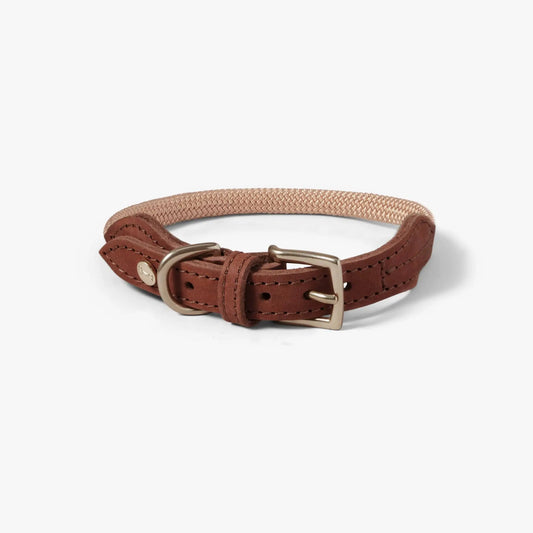 WePet.no X-Small Hundehalsbånd Torekov Golden Sand - Denjo Dogs