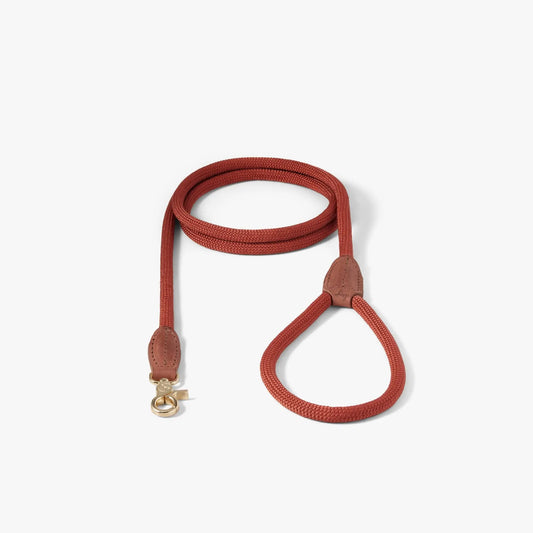 WePet.no Hundekobbel Torekov Rusty Bronze - Denjo Dogs