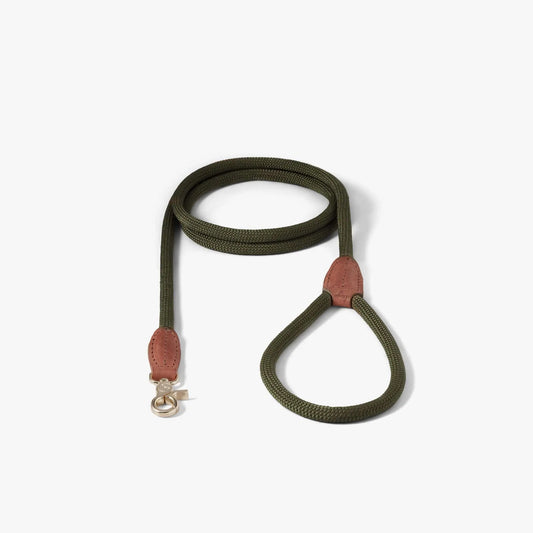 WePet.no Small Hundekobbel Torekov Shimmer Green – Denjo Dogs