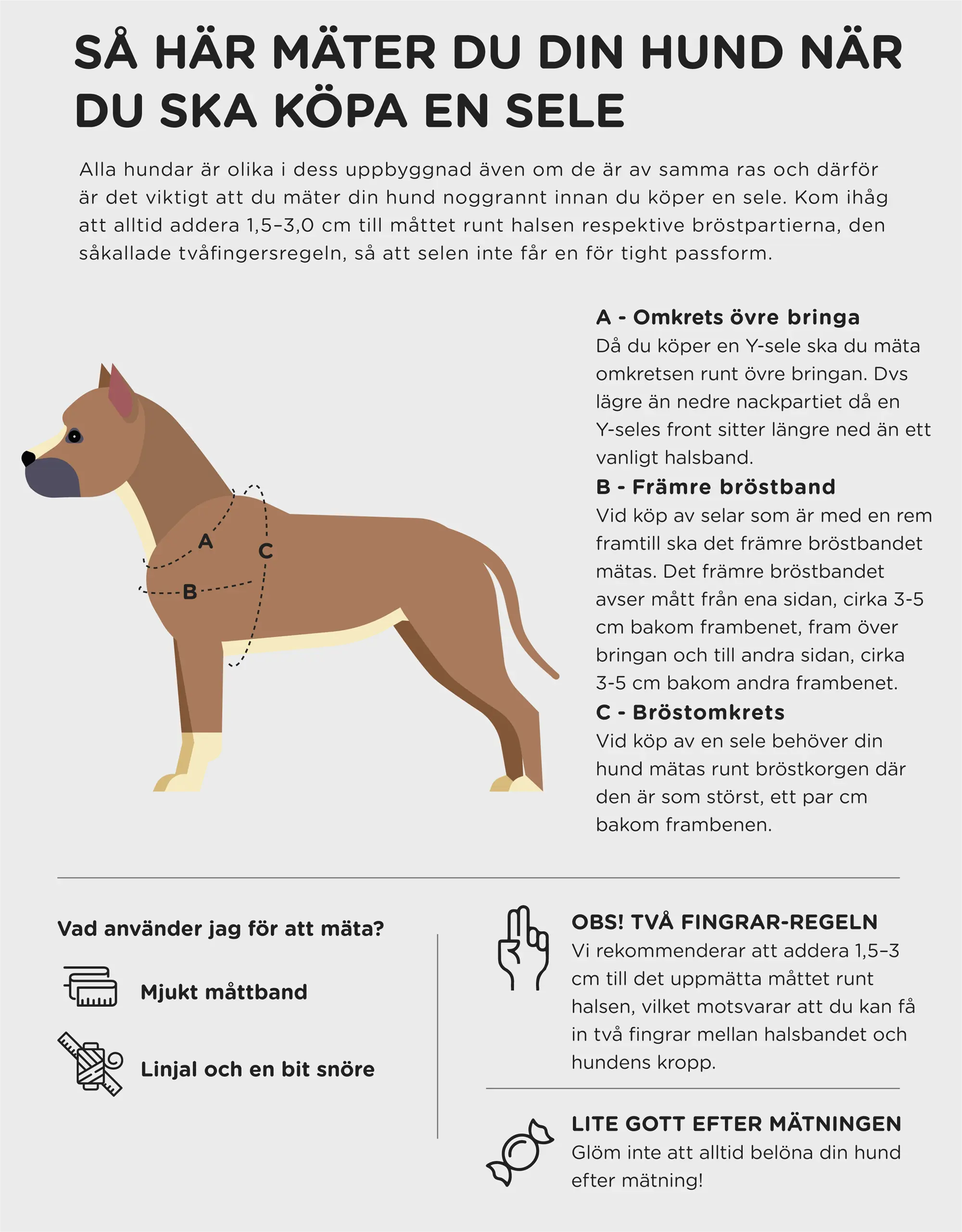 WePet.no Hundesele Signature Go Khakigrønn – Denjo Dogs
