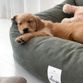 Last inn bildet i Gallery Viewer, WePet.no Hundeseng Classic Nest Desert Green – Denjo Dogs
