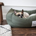 Last inn bildet i Gallery Viewer, WePet.no Hundeseng Classic Nest Desert Green – Denjo Dogs
