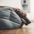 Last inn bildet i Gallery Viewer, WePet.no Hundeseng Classic Nest Desert Green – Denjo Dogs
