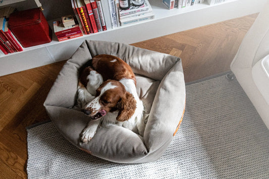 WePet.no Hundeseng Classic Nest med lærdetaljer Sand Beige – Denjo Dogs