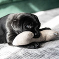 Last inn bildet i Gallery Viewer, WePet.no Leksak Hundeleke Pluto Bone 26 cm Recycled Greige – Denjo Dogs
