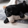 Last inn bildet i Gallery Viewer, WePet.no Leksak Hundeleke Pluto Bone 26 cm Recycled Greige – Denjo Dogs
