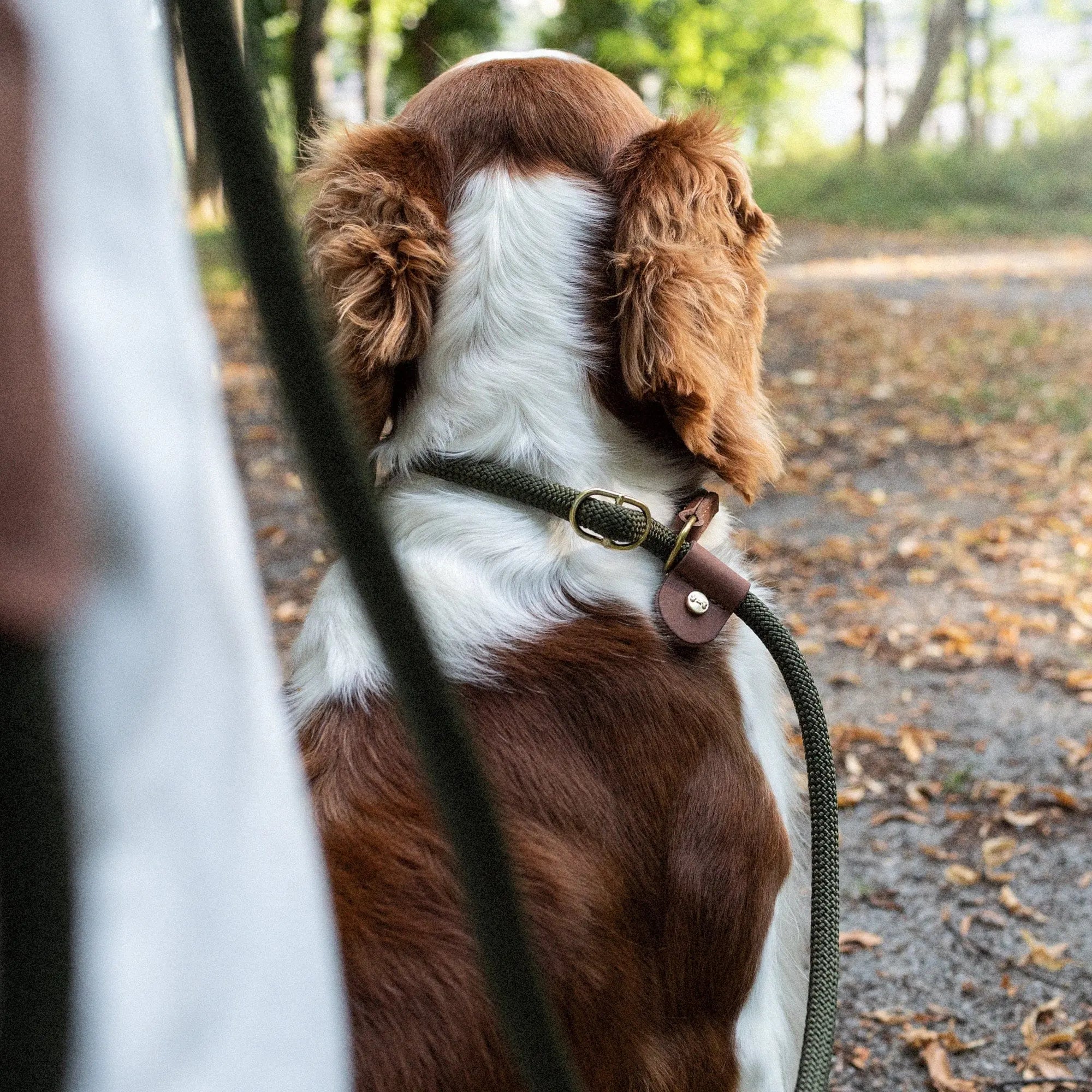 WePet.no Retrieverkobbel Torekov Shimmer Green 210 cm – Denjo Dogs