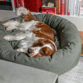 Last inn bildet i Gallery Viewer, WePet.no Senger Hundeseng Classic Donut,  Desert Green med Lærdetalj – Denjo Dogs
