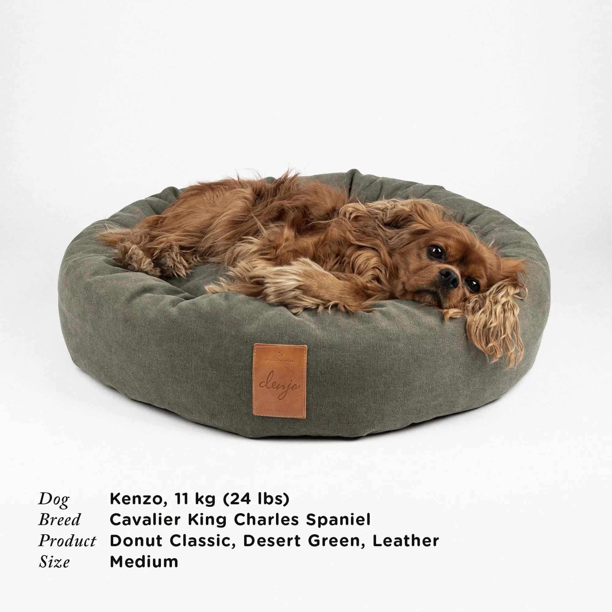 WePet.no Senger Hundeseng Classic Donut,  Desert Green med Lærdetalj – Denjo Dogs