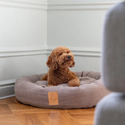 WePet.no Senger Hundeseng Donut Icon med Lærdetalj True Taupe – Denjo Dogs