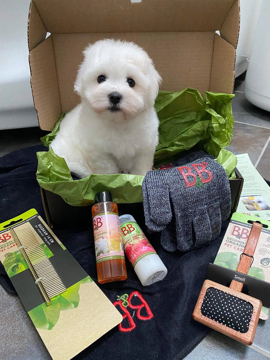 WePet B&B Pelspleie Startboks til Valper