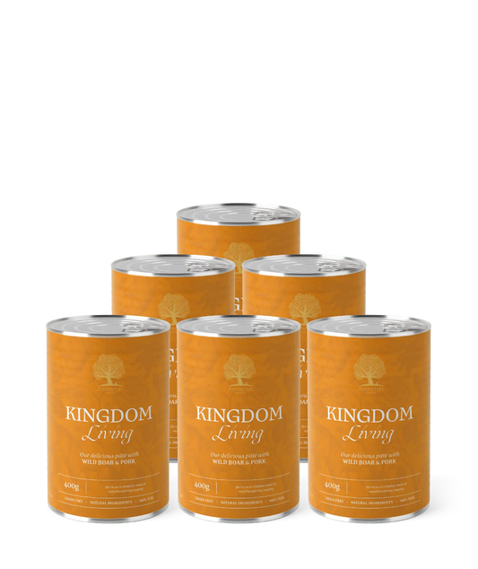 WePet Essential Kingdom Living paté - Fristende pâté med villsvin og svin