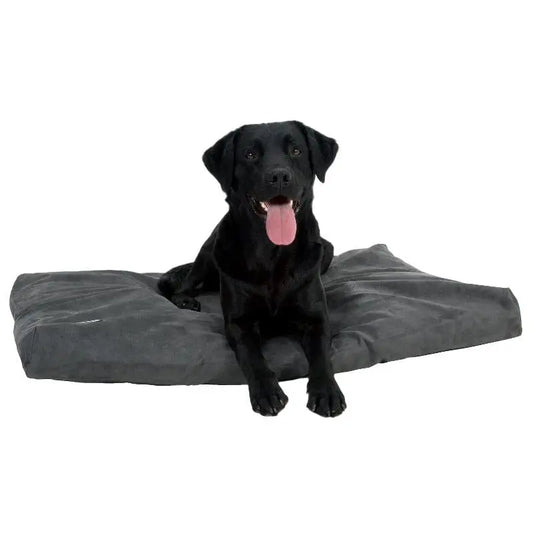 WePet Senger Hundeseng Memory foam - Buster